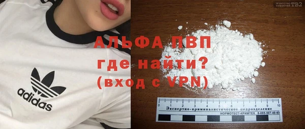 стаф Абаза