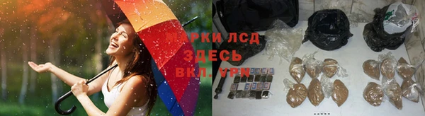 СК Абинск