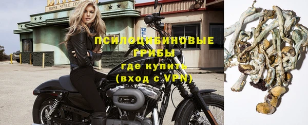 стаф Абаза