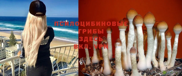 СК Абинск