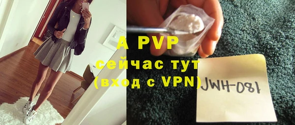 стаф Абаза