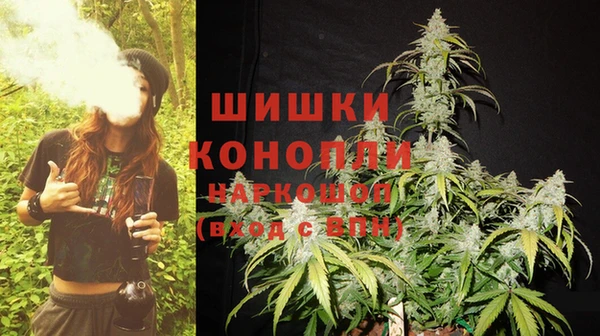 ГАЛЛЮЦИНОГЕННЫЕ ГРИБЫ Абдулино