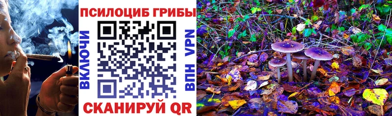 где можно купить наркотик  Полярный  Псилоцибиновые грибы Psilocybine cubensis 